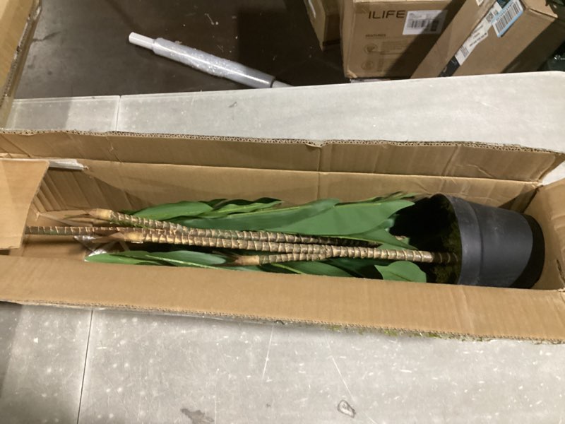 Condition photo showing Good Condition for Nearly Natural 48in Artificial Dracaena with Real Touch Leaves and Multi Tonal Trunks, Large Indoor Silk Plant with Pot, Maintenance Free For Living Room And Home Office Decor Green