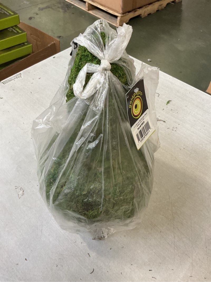 Condition photo showing New/Like New for SuperMoss (56011) Gourd Birdhouse with Chain, 7.5 by 12-Inch, Fresh Green