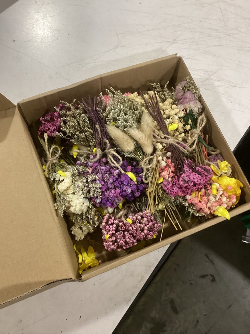 Condition photo showing Good Condition for 12/24 pack dried flowers for vase various mini bouquet dried small wildflowers natural real flowers bulk for crafts diy wedding decor (24, multicolor) multicolor 24