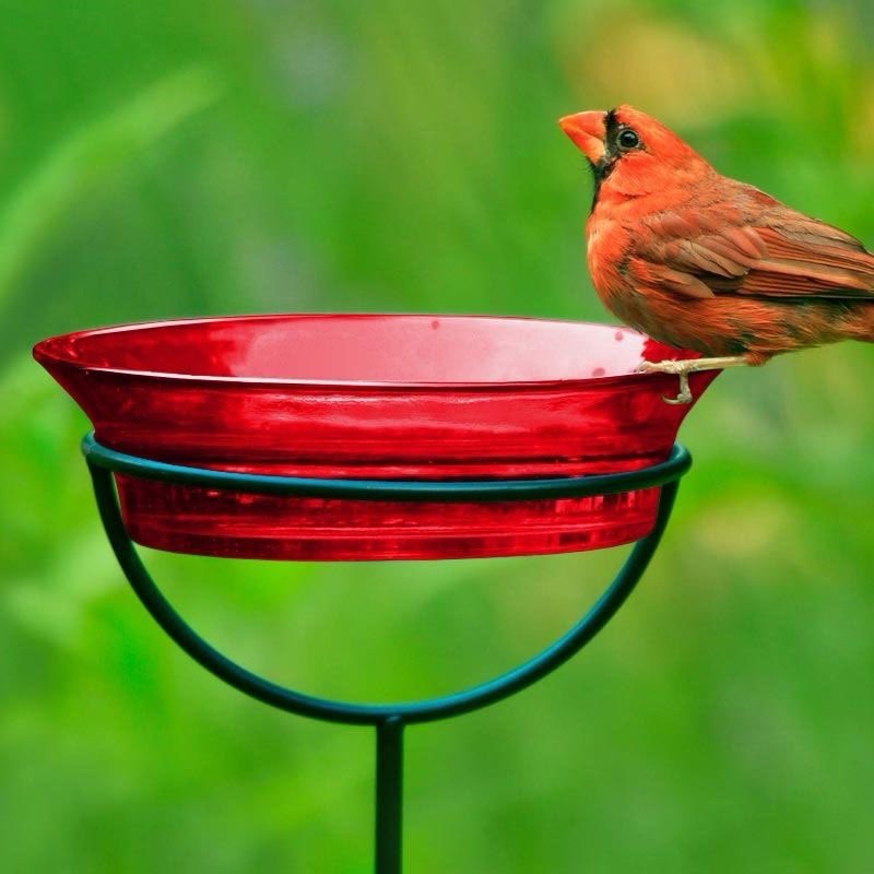 Mosaic Birds Cuban Garden Stake Bird Feeder, 20.3-oz, Red