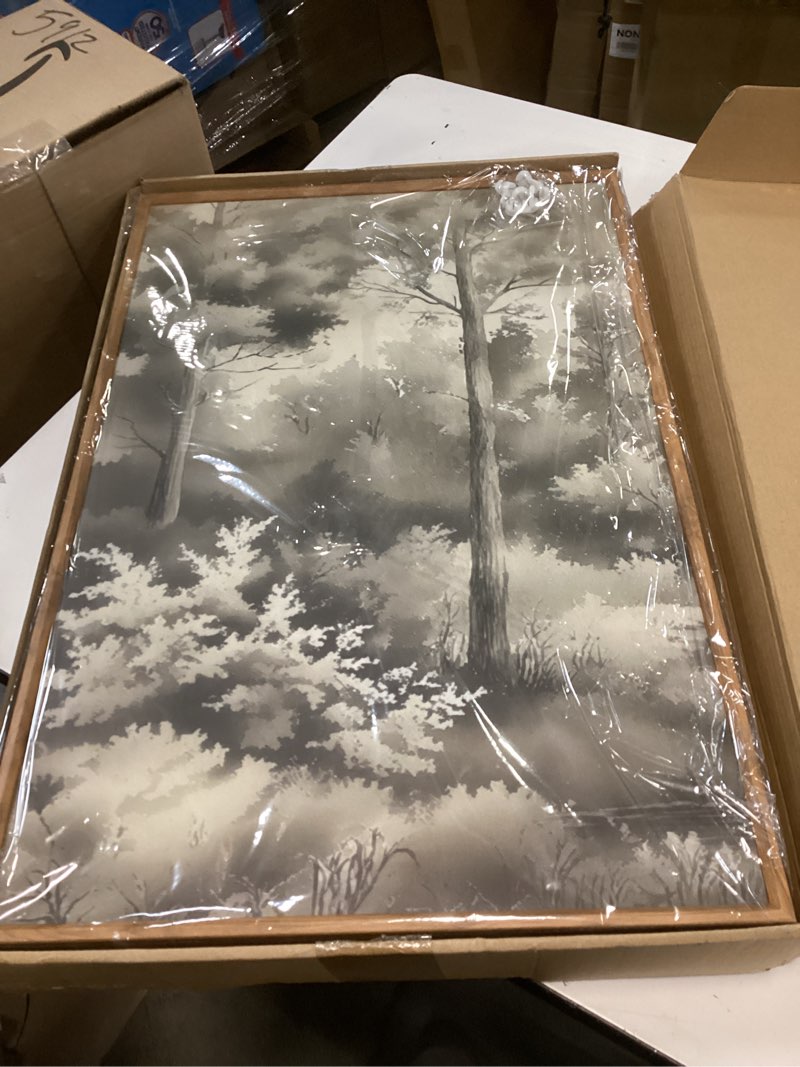 Condition photo showing Good Condition for Vintage Woodland Sketch Framed Canvas Print Wall Art Set,Retro Classic Forest and River Scenery Wall Decor,Rustic Natural Misty Landscape Artwork for Living Room,Bedroom,Farmhouse-16 x24 x3 Watercolor Tree Landscape Wall Art 16"L x 24"W