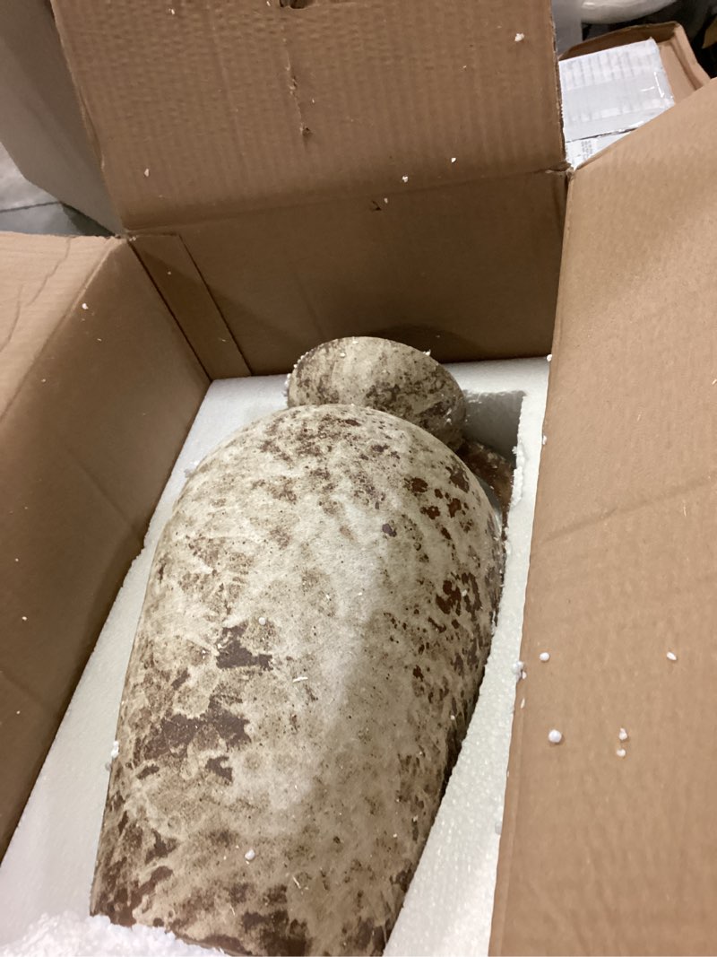 Condition photo showing New/Like New for Brown Ceramic Rustic Farmhouse Vase Jug Pitcher with Handle, Distressed Antique Terracotta Pottery Flower Vase 14.2 Inch Handmade Large Floor Vintage Decorative for Home Living Room Decor