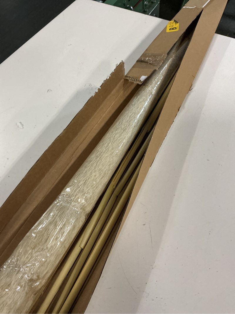 Condition photo showing Good Condition for 55" inch Scarcity Natural Pampas Grass Decor Tall, pompas Grass, Tall Pampas Grass for Wedding, Party, Farmhouse, Boho Home Decor