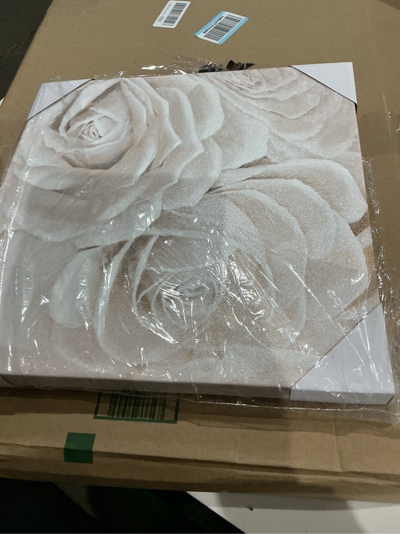 Condition photo showing As Is for white flower canvas wall art textured 16” x 16” wall decor