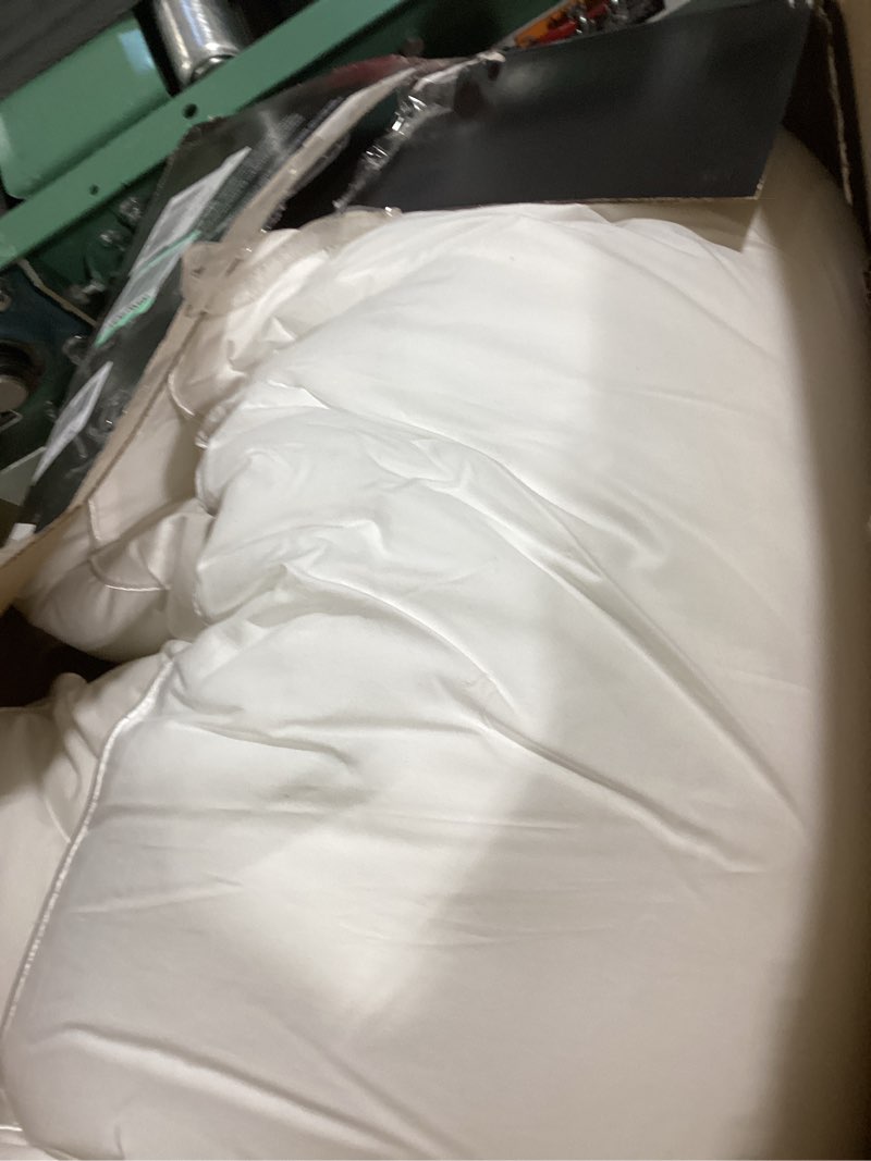 Condition photo showing Good Condition for Phantoscope 26 x 26 Pillow Inserts - Throw Pillow Inserts with 100% Cotton Cover - Square Forms Microfiber Pillow Sham Stuffer - Couch Cushion Pillows 26 Inches, 2 Count (Pack of 1) 26 x 26 Inch -2 PCS White