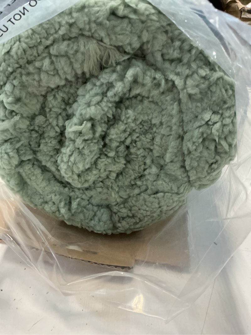 Condition photo showing Good Condition for bedsure gentlesoft fuzzy sherpa faux fur twin blanket sage green cozy gifts for women men, soft fleece plush warm thick blanket twin size for bed, dorm essentials sage room decor gifts, 60x80 12- sage green twin (60" x 80")