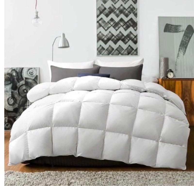 puredown® Goose Feather Comforter Twin Size - All Season Duvet Insert, Ultra-Soft Hotel Collection C