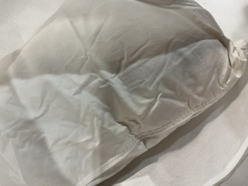Condition photo showing Good Condition for premium down pillow, standard, firm