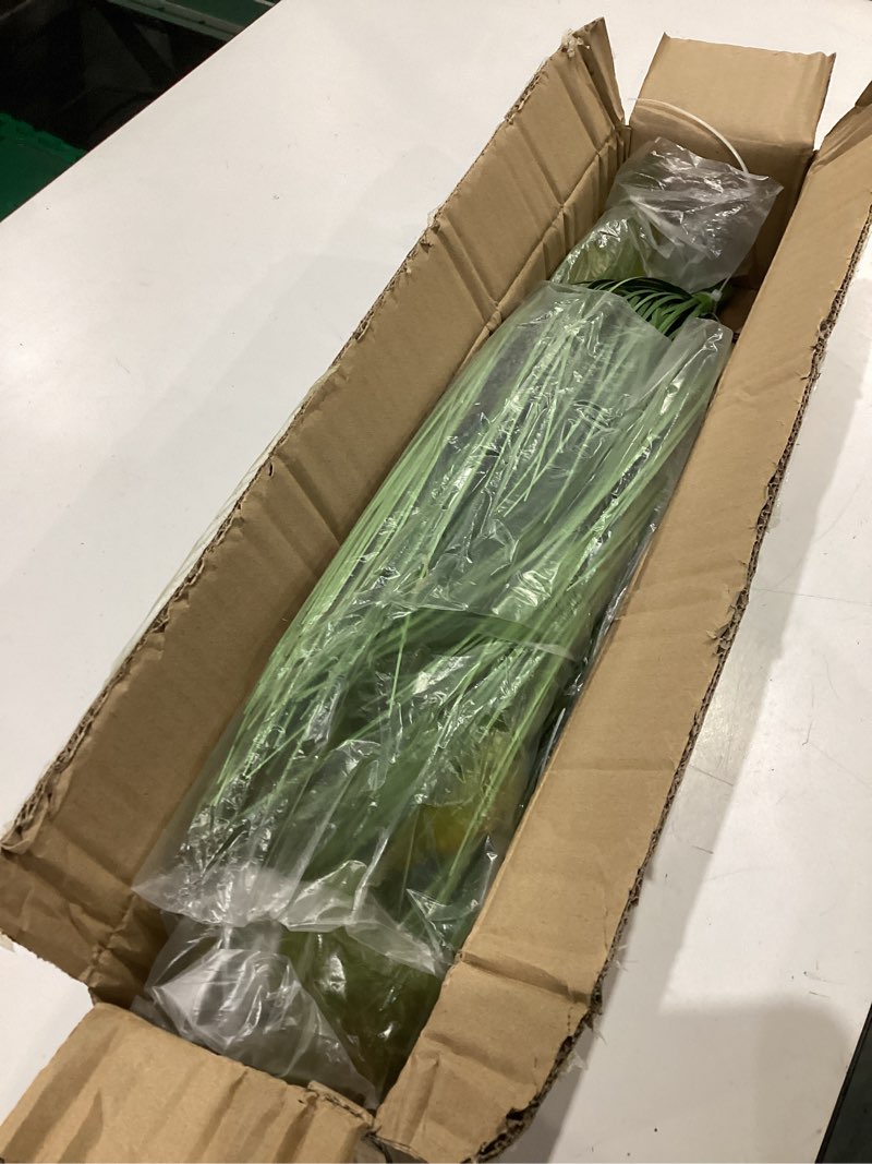 Condition photo showing Good Condition for 24 inches extra lush artificial reed grass (6pcs), luxury fake plants with 13 heads dogtail flower, luxury faux greenery with dogtail for garden porch and home decor (green-13) green-13 24 inches