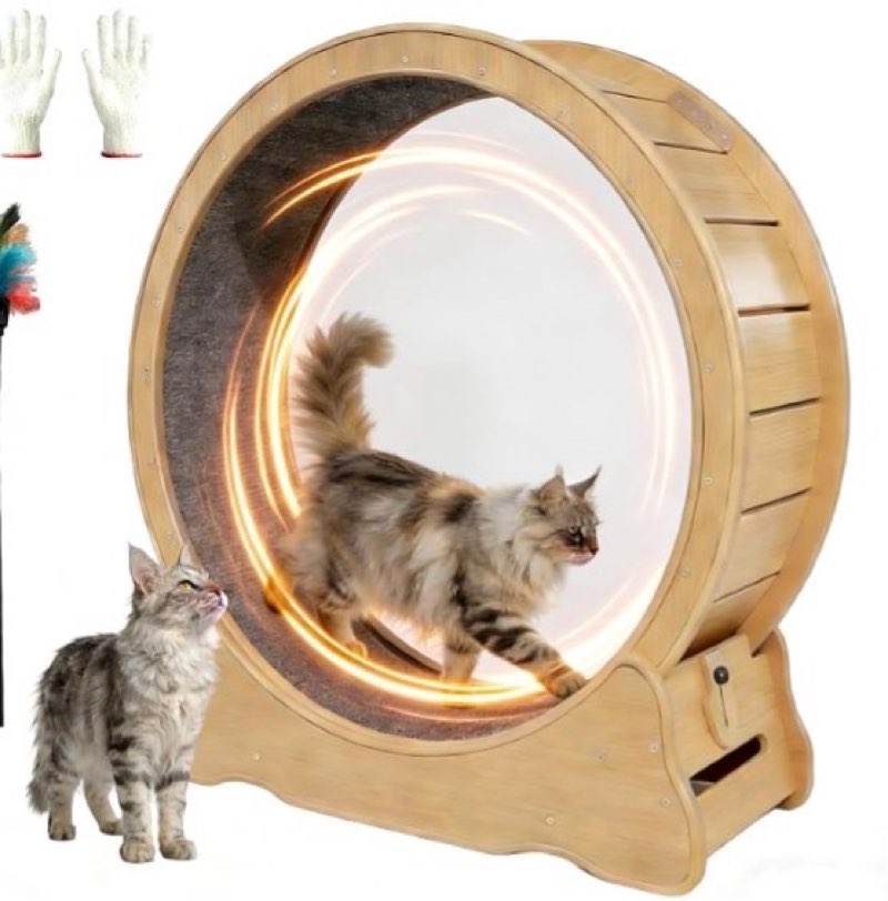 cat exercise wheel wooden cat treadmill 39 inch
