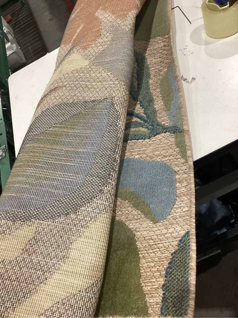 Condition photo showing As Is for 500+ bought last week allen + roth with stainmaster floral palm 5 x 7 (ft) loomed polypropylene multiple colors