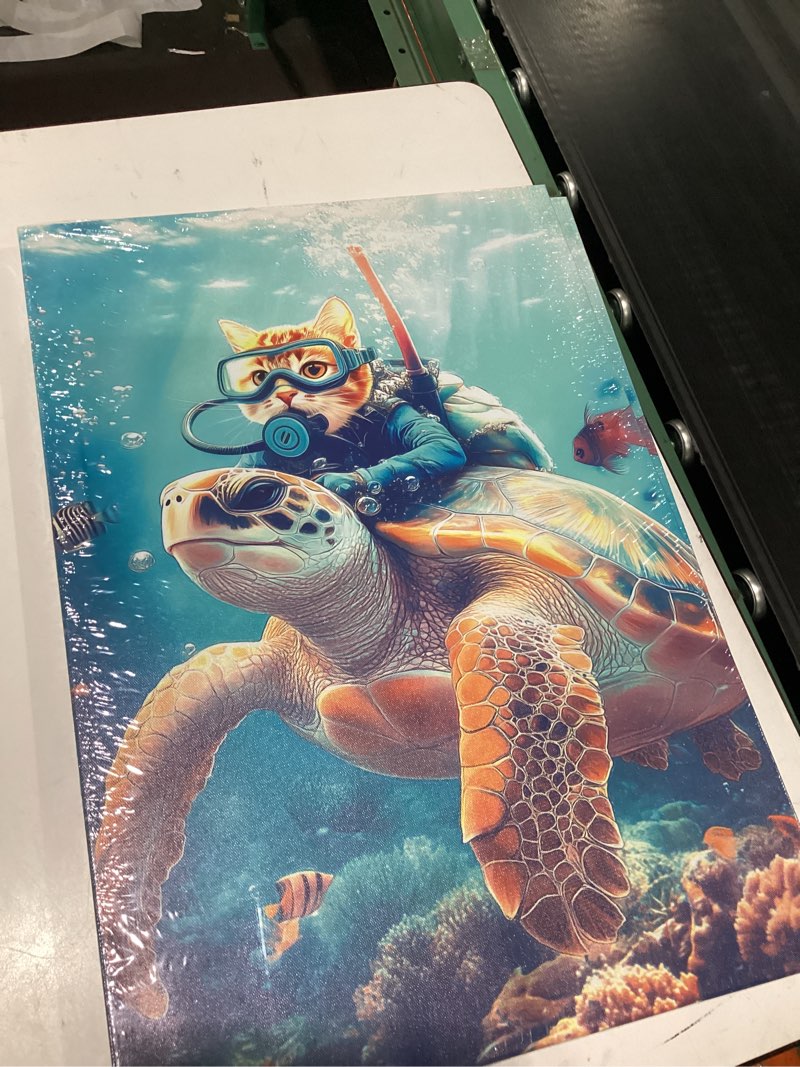 Condition photo showing New/Like New for sea turtle canvas wall art funny turtle with cat picture wall decor framed marine life painting ocean prints modern artwork for bathroom living room home wall decor framed - 16.00"x24.00" 24"l x 16"w a-sea turtle & cat