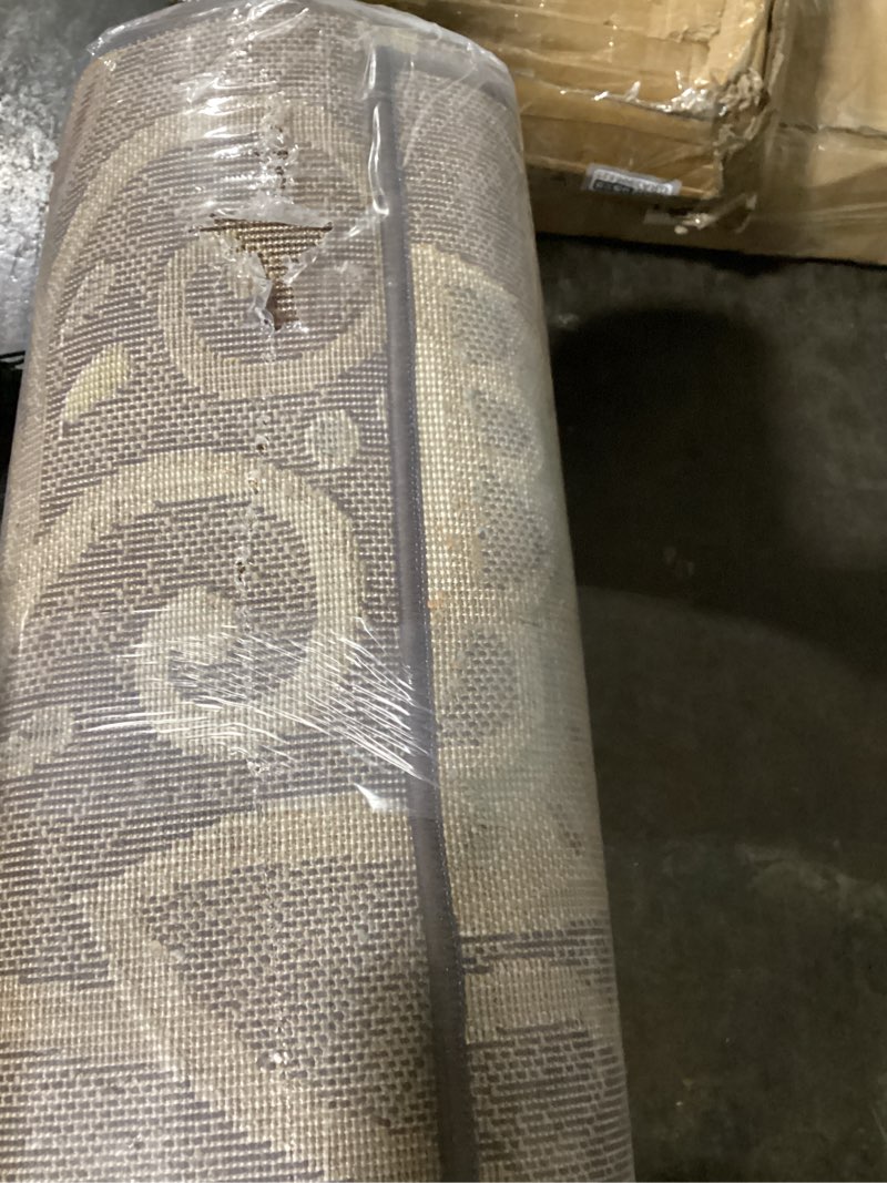 Condition photo showing Good Condition for possibly used giselle transitional floral brown rectangle area rug, 5' x 7'