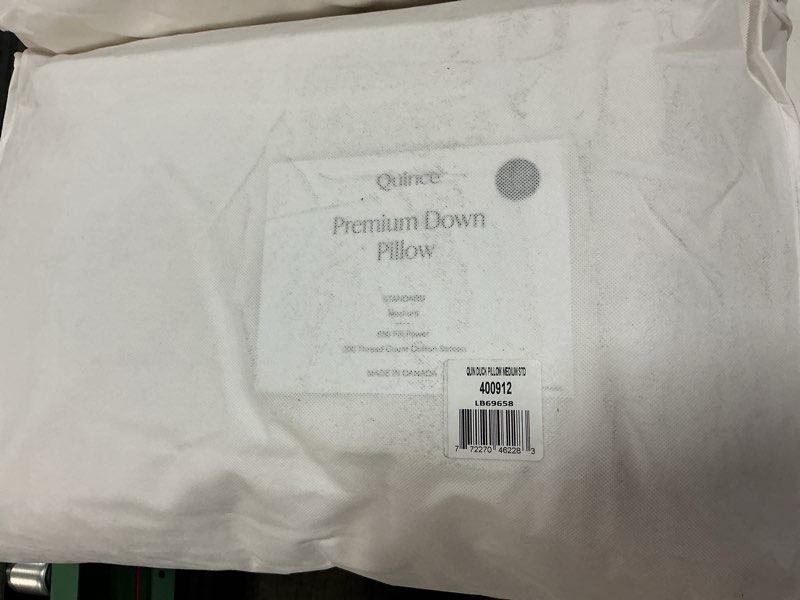 Condition photo showing Good Condition for premium down pillow standard