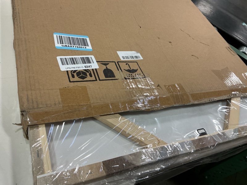 Condition photo showing Good Condition for SEVEN WALL ARTS Peony Flower Canvas Wall Art Peonies Floral Pictures Set Abstract White and Yellow Blossom Paintings for Bedroom Living Room Home Office Decor 24"x24"x2pcs Peony Flower 24 x 24 Inch x 2 Pcs