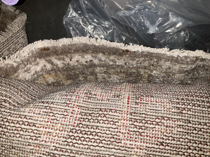 Condition photo showing As Is for Long carpet