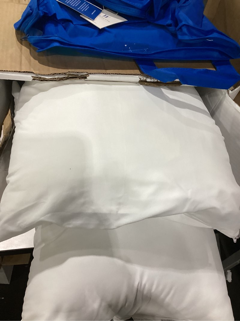https://lotting-media.assets.bidfta.com/lotting_f9fda05d-de24-4735-988e-75c6e252b177
