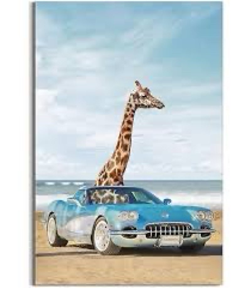 giraffe canvas wall art picture: funny animal print decor giraffe in car artwork cute wild animals p