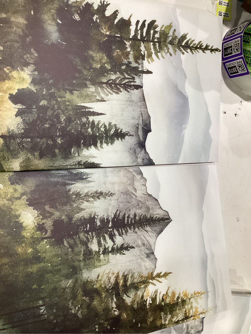 Condition photo showing As Is for TBKHUDBI Forest Canvas Wall Art Abstract Mountain Landscape Painting Prints Set of 3 Foggy Nature Wilderness Themed Picture Poster Decor for Living Room Bedroom Bathroom 16"x24" Framed ink 16"x24" Canvas
