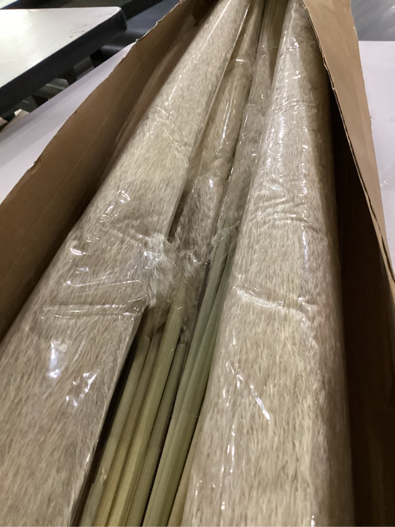Condition photo showing Good Condition for 40" inch 40 stems natural pampas grass decor tall, pompas grass, tall pampas grass for wedding, party, farmhouse, boho home decor