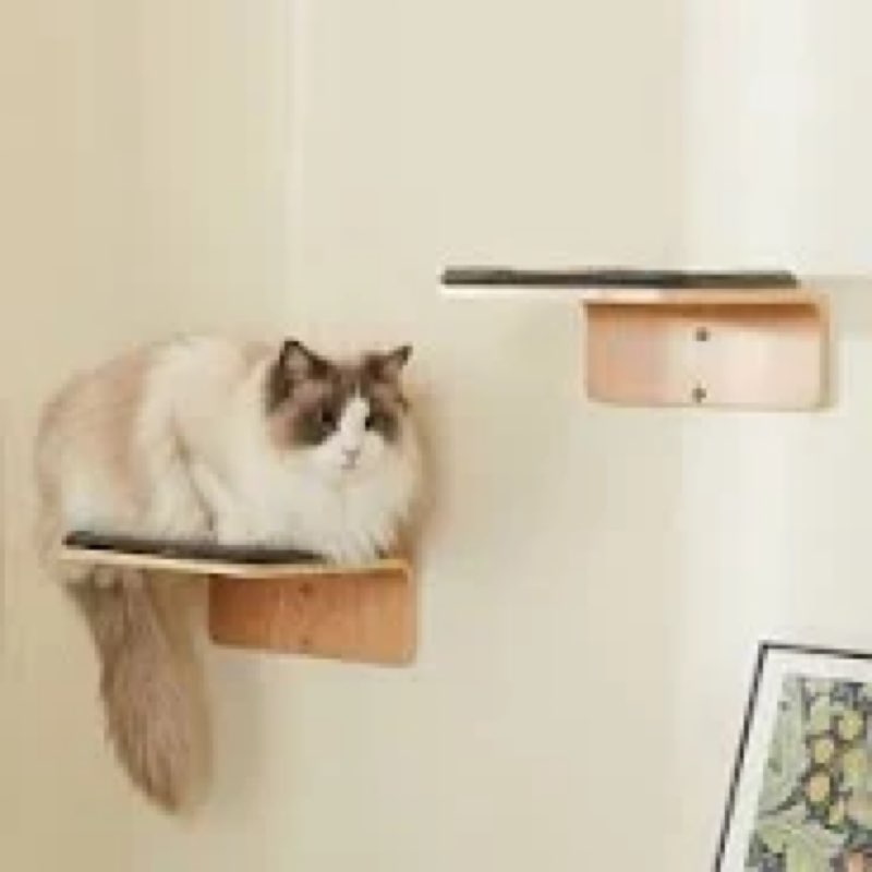 Cat Wall Shelves for Cat Wall Steps, Perch, Ladder, Wooden Floating Modern Mounted Space Saving Furn