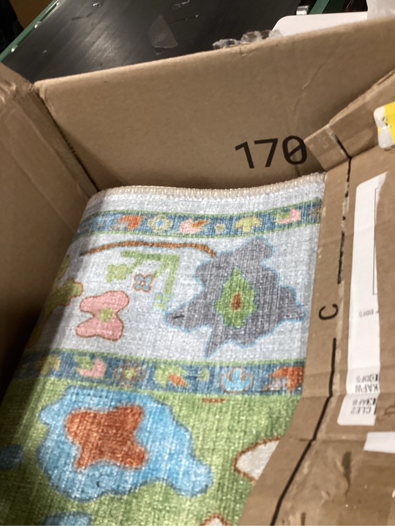 Condition photo showing As Is for fame living colorful oushak runner rug, modern runners, turkish, eclectic, floral, pastel, washable, small throw rugs, short runner for hallway, entryway, laundry, foyer, kitchen, bathroom, 2'5"x6'5" cream terra 2'6" x 6'6" (rectangular)