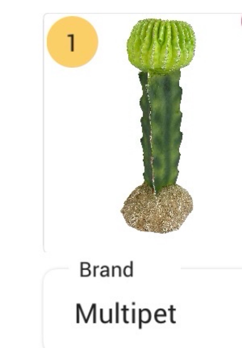 Multi Pet 48593325: Komodo Cactus Plant Moon, 7.5In