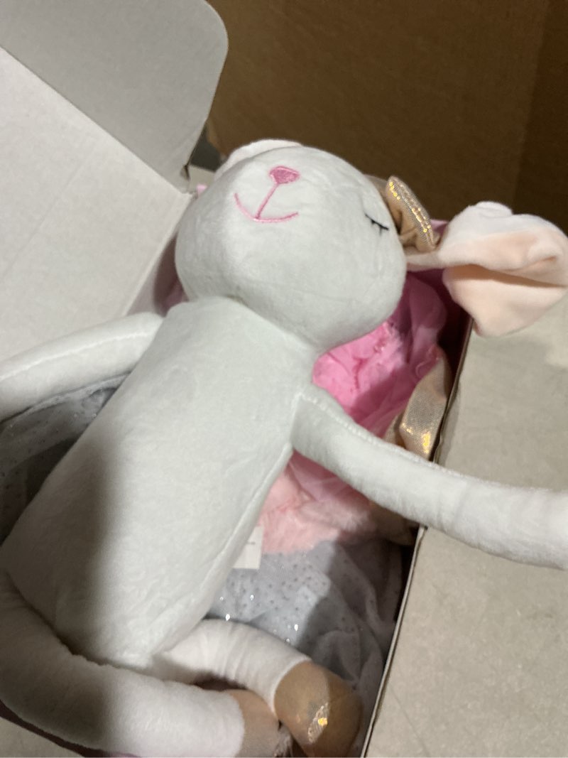 Condition photo showing Good Condition for Perfectto Design Bunny Ballerina Stuffed Animal for Girls, Plush Toy Doll - Cute Doll Set Dress Up for 3 4 5 Year Old Girl - Gift for Little Girl, Birthday, Christmas Age 3-9