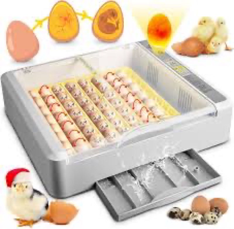 egg incubator for hatching chicks, automatic egg turner holds 12 eggs, smart incubator 360° clear window with temperature display egg candler for small poultry chickens ducks quails eggs egg12