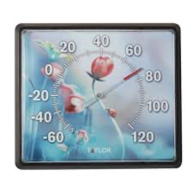 Taylor 5285881 12"x14" Ladybug Dial Thermometer