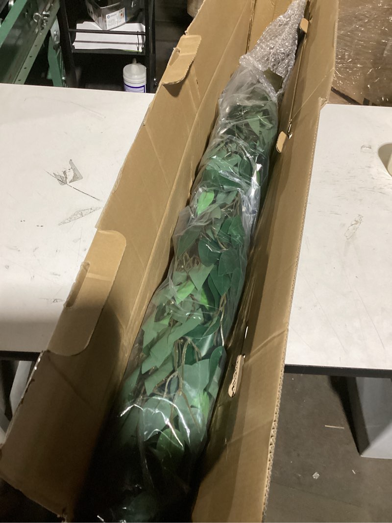 Condition photo showing Good Condition for Hairui Artificial Ficus Silk Tree Lights 6FT 264 LED Fairy Lights, Faux Plant Tree with Lights for Home Room Spring Summer Christmas Decoration Indoor 6FT Ficus Silk Tree