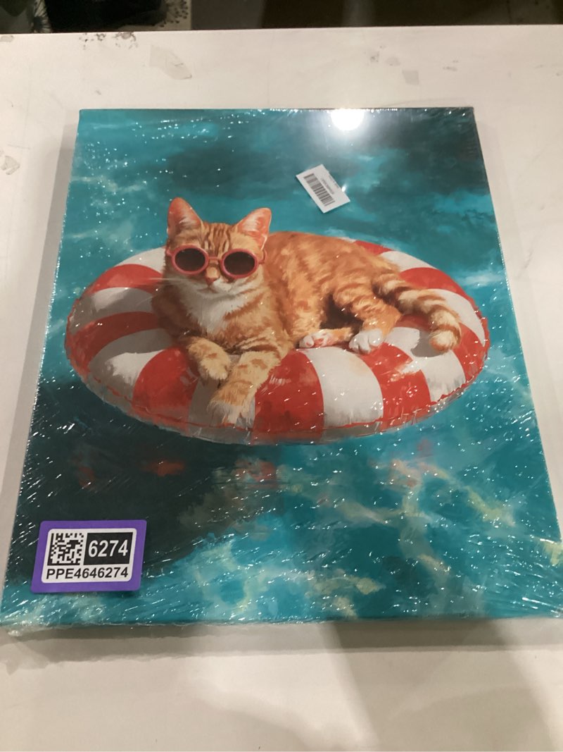 Condition photo showing Good Condition for funny cat bathroom canvas wall art kitten ocean wall decor kitten swim painting print picture artwork decorations cat lover gifts for living room bedroom nursery room kitchen framed gifts 16”x20” cat swim 20"l x 16"w