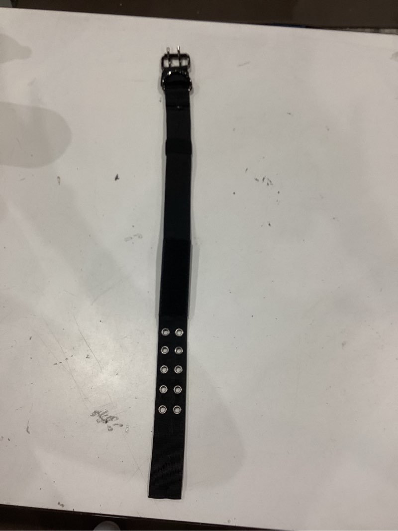 Condition photo showing Good Condition for dog collar zise l
