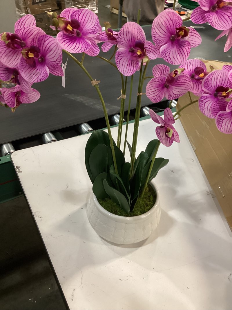 Condition photo showing Good Condition for (Similar) Ultra Realistic Touch 28.5\" Artificial Orchid in Pot Luxury Silk Material Fake Purple Phalaenopsis Orchids Look Real Premium Faux Orchid Arrangement with Decorative Vase for Home Office Decor