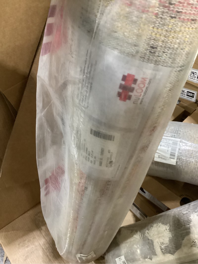 Condition photo showing New/Like New for Carnival 2’5”x8 multi color