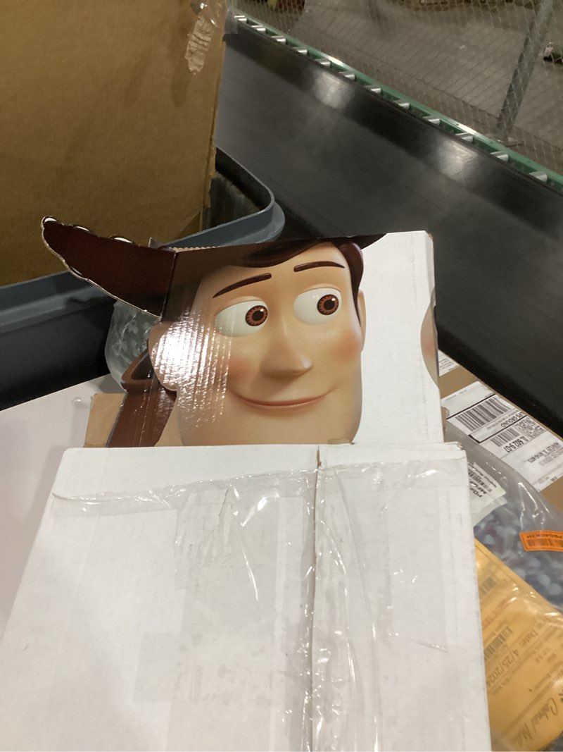 Condition photo showing As Is for Cardboard People Woody & Forky Life Size Cardboard Cutout Standup - Disney Pixar Toy Story 4 (2019 Film) Woody & Forky One Size