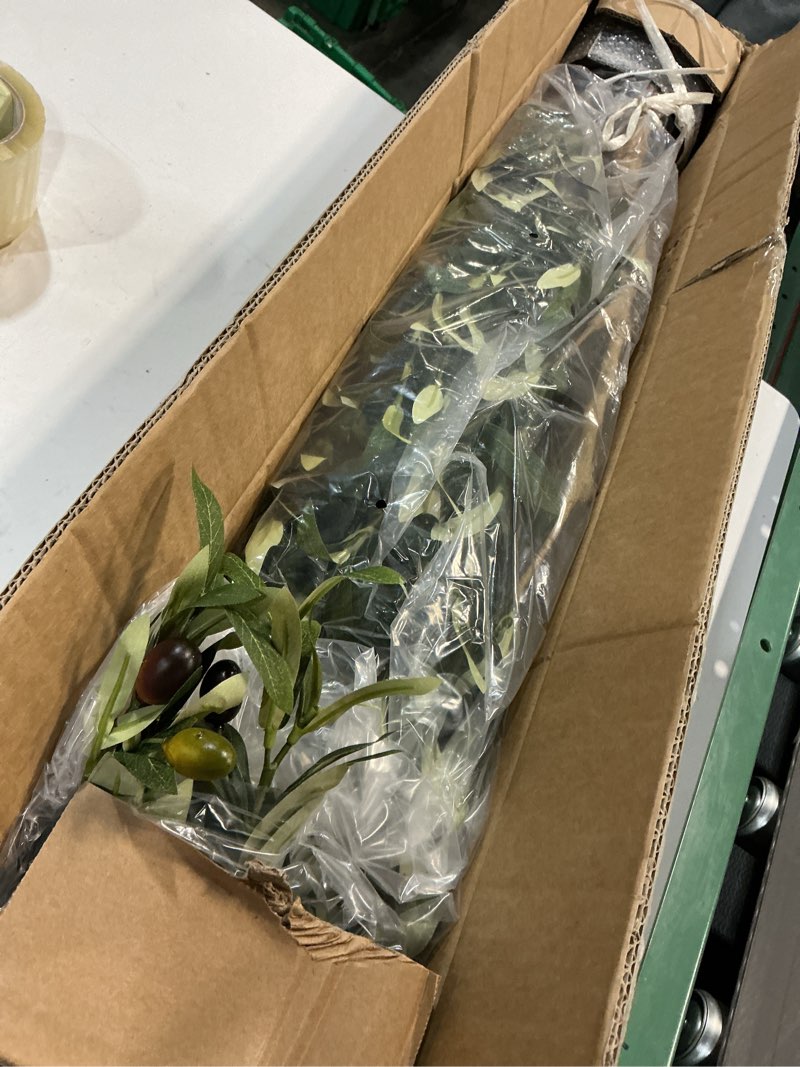 Condition photo showing Good Condition for Bellacat Faux Olive Tree 7ft?Olive Trees Artificial Indoor with Natural Wood Trunk and Realistic Leaves and Fruits. 7 Feet(84in) Fake Olive Tree for Home House Office Décor. 1 7ft