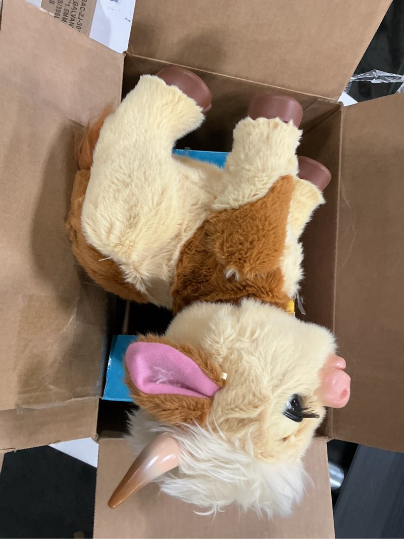 Condition photo showing As Is for FurReal Maggie The Feed & Follow Cow, 11 Inch Interactive Highland Mini Cow, for Boys and Girls, Ages 4 and up