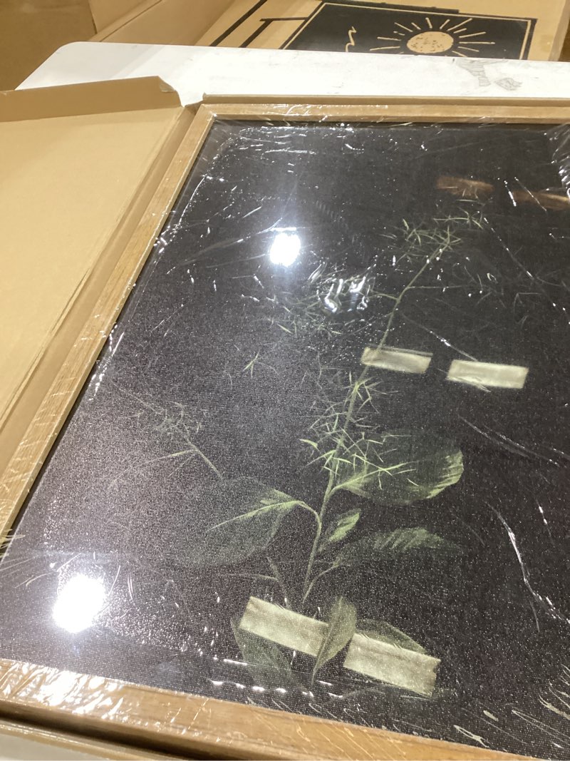 Condition photo showing Good Condition for 2pcs framed canvas wall art vintage green forest plant botanical prints dark floral prints minimalist modern art vintage wall decor for bedroom living room, bathroom,16x24in moody floral prints 16x24 inches