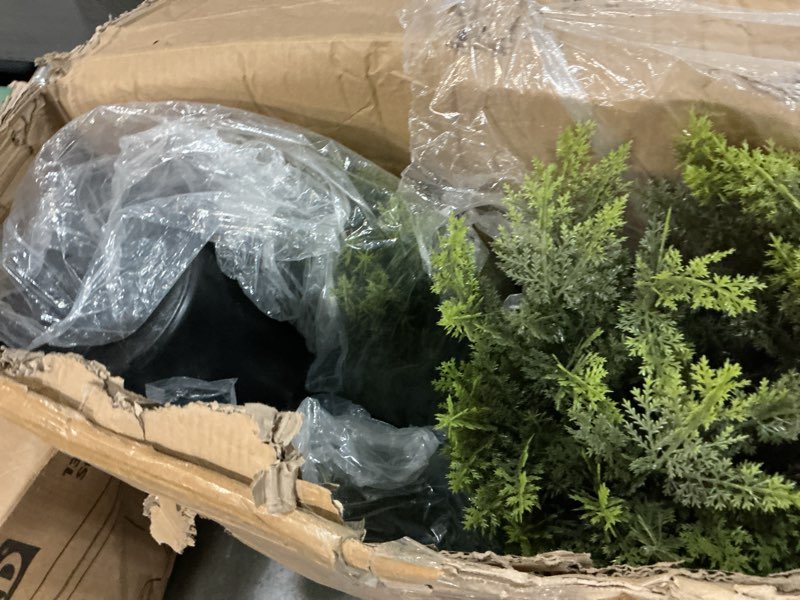 Condition photo showing As Is for 6FT Artificial Cedar Trees Set of 2, Realistic Faux Evergreen Topiary Bushes Plants, Outdoor Potted Fake Cypress Shrubs for Front Porch Garden Home Living Room Decor