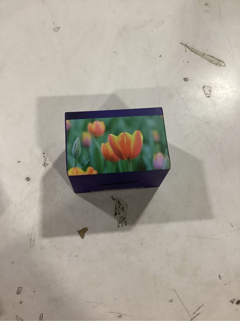 Condition photo showing New/Like New for LC401XL LC401 XL Ink Cartridges Non-OEM Compatible for Brother 401XL LC-401 High Yield Ink Cartridges Work with MFC-J1010DW MFC-J1170DW MFC-J1012DW MFC-J1800DW (5 Packs, 2Black Cyan Magenta Yellow) LC401XL 2Black Cyan Magenta Yellow 5