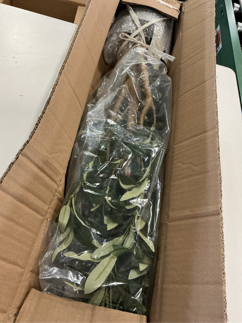 Condition photo showing Good Condition for Bellacat Faux Olive Tree 5ft?Olive Trees Artificial Indoor with Natural Wood Trunk and Realistic Leaves and Fruits. 5 Feet(60in) Fake Olive Tree for Home House Office Décor. 1 5ft