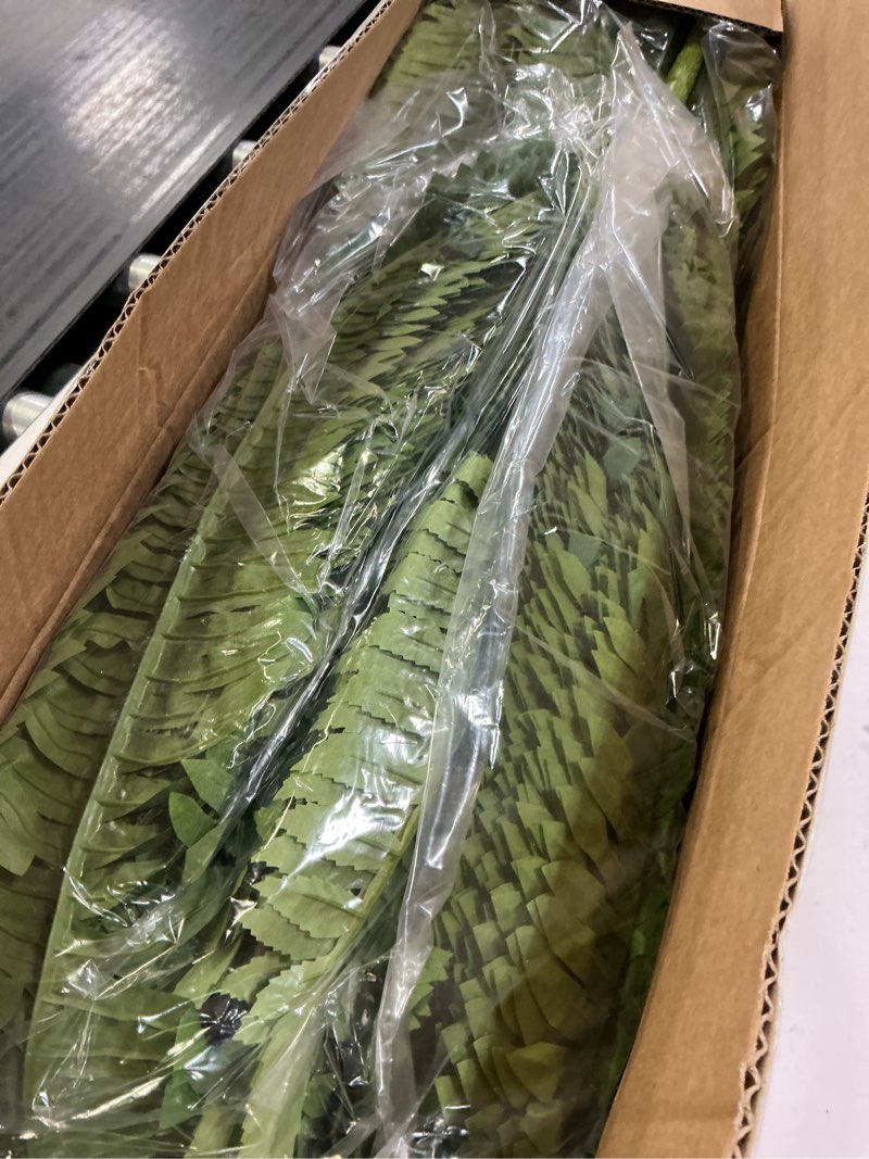 Condition photo showing Good Condition for cqure 128 branches fake ferns artificial plants large, 50" set of 2 artificial boston ferns faux hanging fake plants for outdoors planter home garden decor