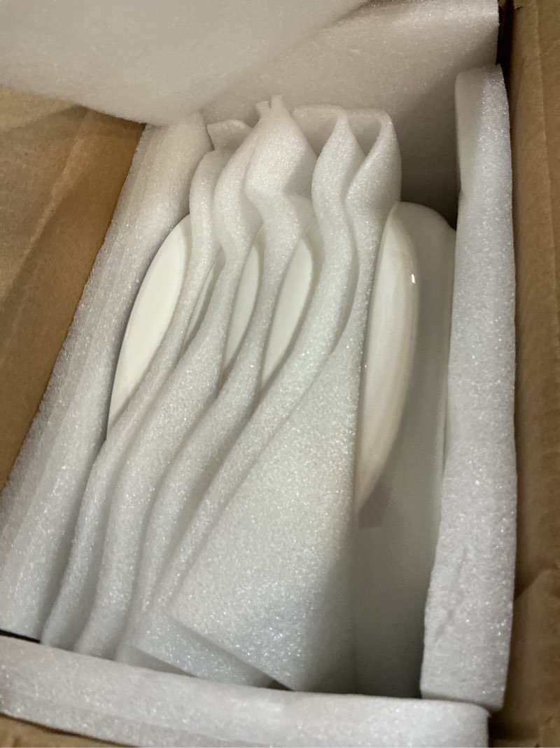 Condition photo showing Good Condition for sweese porcelain dinner plates set of 6, 10.5 inch dish set - dishwasher, microwave, oven safe, scratch resistant, kitchen serving dishes - white 10.5 inch for 6