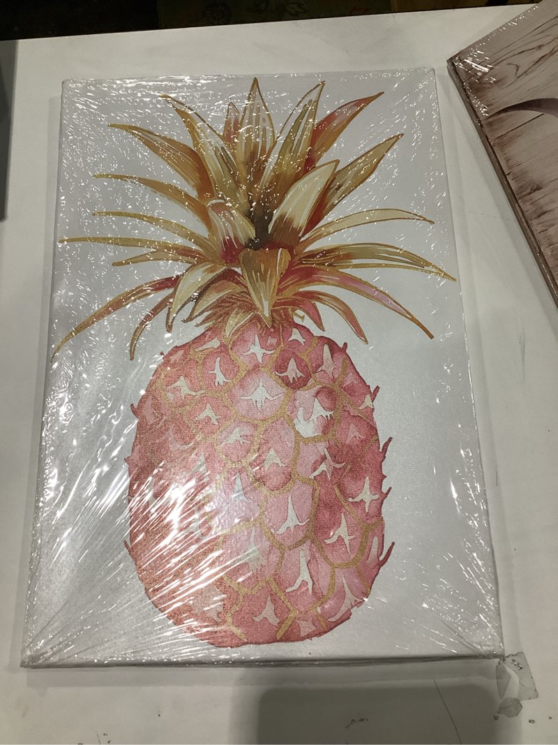 Condition photo showing New/Like New for TIEHAOMAI Fruit Kitchen Wall Art Pink Pineapple Canvas Painting Hawaii Pineapple Pictures for Bar Kitchen Decor?Kitchen-2,16x24inch (40x60cm) Kitchen-2 16x24inch (40x60cm)