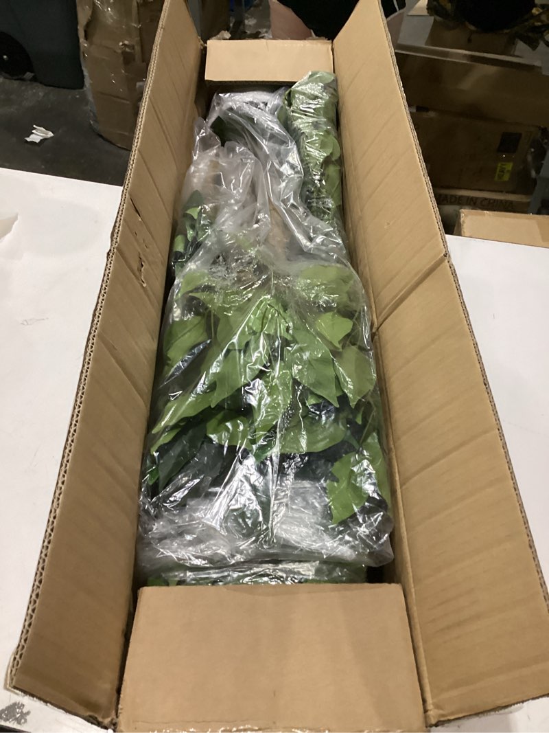 Condition photo showing New/Like New for 2Packs 4FT Artificial Ficus Tree, Fake Plants with Sturdy Plastic Nursery Pot,Faux Ficus Trees for Home Office Living Room Indoor Outdoor Decor Perfect Housewarming Gift (4FT-2Packs) 4FT-2Packs Ficus Tree