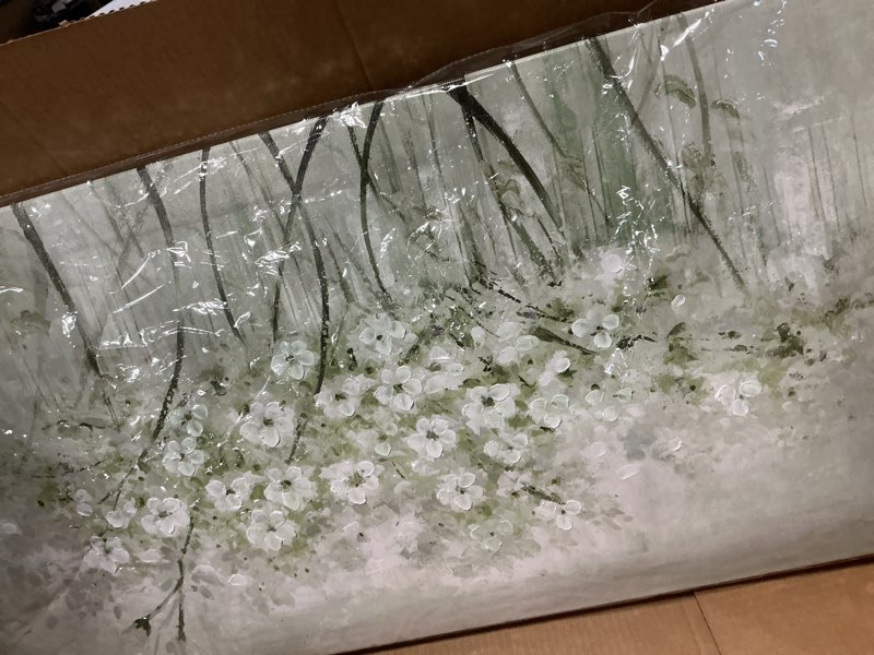 Condition photo showing New/Like New for similar framed floral wall art green botanical canvas 24\"x48\" artwork plant print nature wall decor for home living room bedroom kitchen office 48\"l x 24\"w white and green