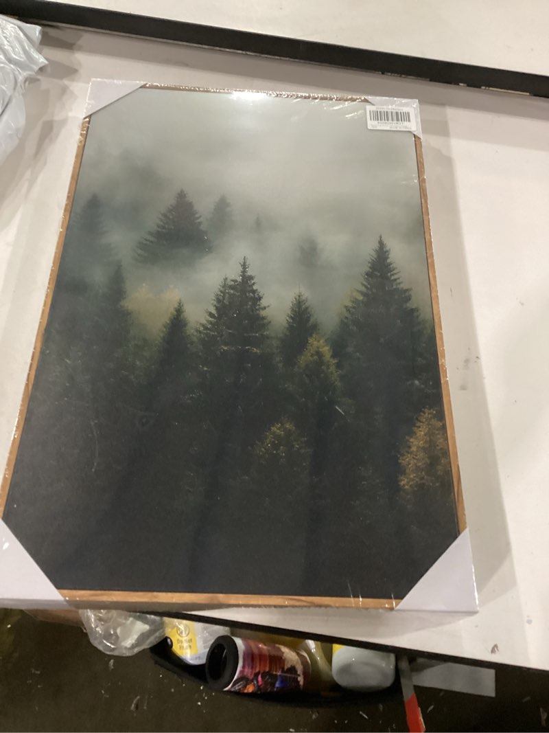 Condition photo showing Good Condition for drsoum fog pine tree landscape wall art framed nature misty nordic forests prints morden farmhouse rustic artwork hallway bathroom ready to hang 16x24in natural framed vintage flower bouquet framed framed 24l" x 16w", natural framed