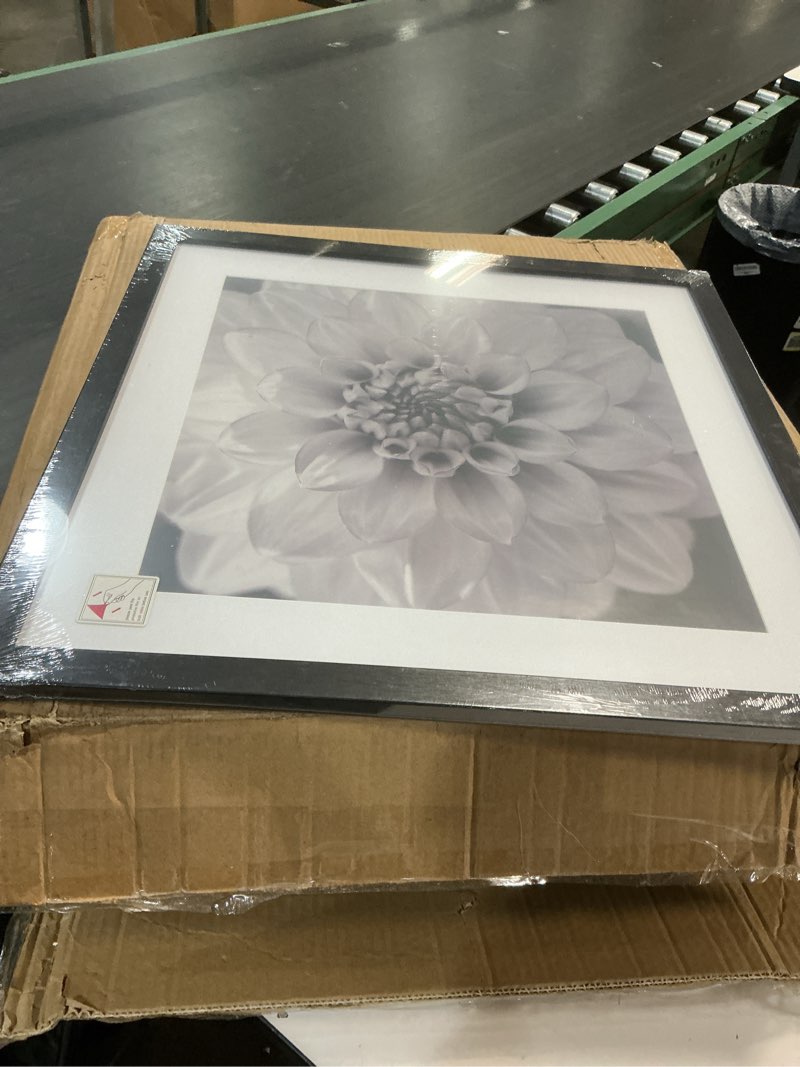 Condition photo showing New/Like New for VNVNK 21x21 Frame Black, Perfect for 21x21 Inch Picture without Mat or 17x17 Inch Picture with Mat, Home Wall Decor Picture Frame-1 PCS 21x21 Black