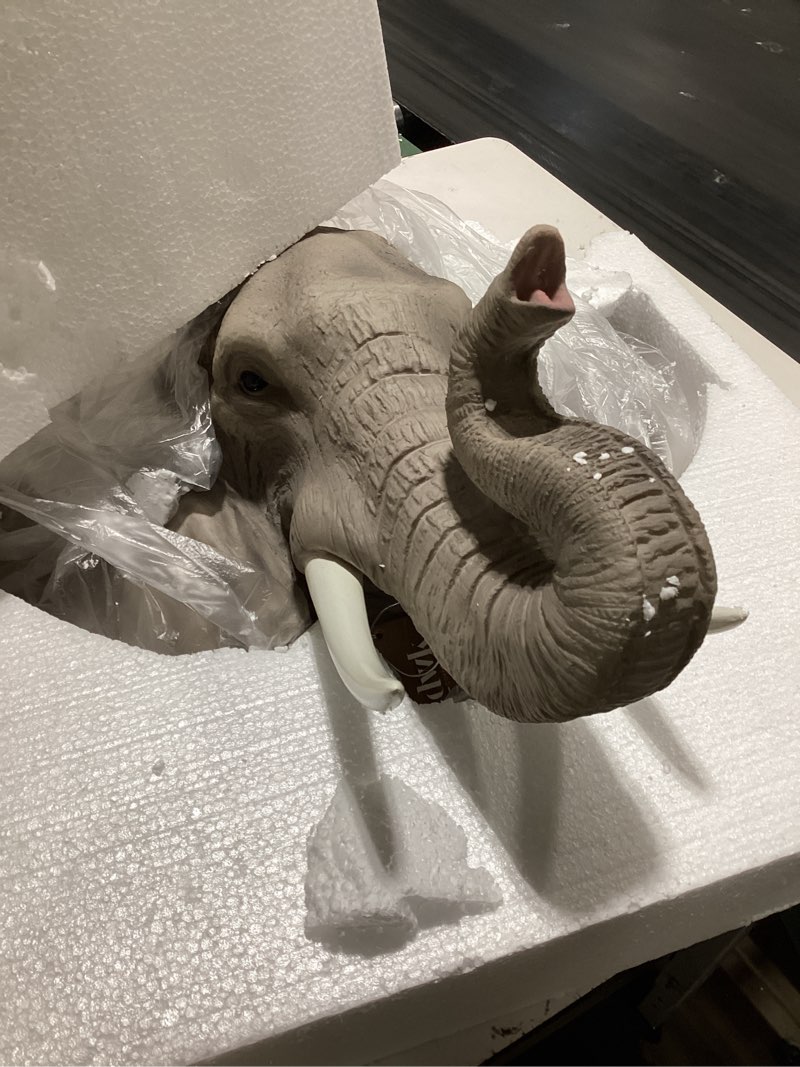 Condition photo showing Good Condition for ebros large 19"wide majestic safari pachyderm male tusked elephant hanging wall head decor sculpture plaque auspicious symbol of nobility strength and prosperity wildlife elephants for nature lovers